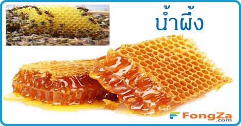 น้ำผึ้ง สมุนไพร สมุนไพรไทย